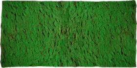 Moss Base 200x100 cm Green