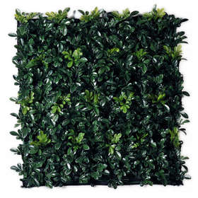 new artificial boxwood module 50 x 50 cm