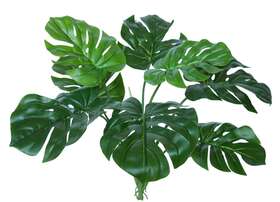 https://www.passionecreativa.it/data/upload/small/philodendron-bush-60-cm-green-5552grn.jpg