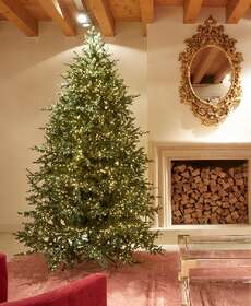 CHRISTMAS TREES WITH  5000 LIGHTS H 240 CM jpg