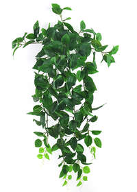 Pothos Bush 110 cm Green 5633GRN