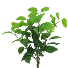 Pothos Bush 50 cm Green 5631GRN