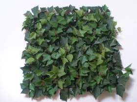 Climbing artificial hedge module_50x50_cm