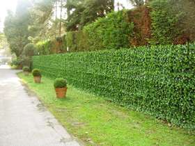 Climbing hedge_installation of external barrier