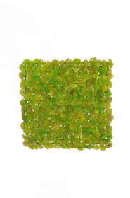 SEDUM verde mattonella artificiale 25X25 cm