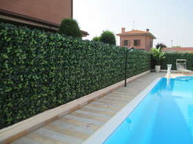 Climbing hedge with swimming pool