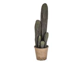 Cactus h 58 cm con vaso in cotto