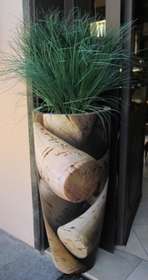 vaso cork