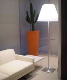 vaso_in_pelle_arancio_con_euphorbia[1]