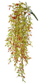 Salice Cadente 70 cm Multicolore