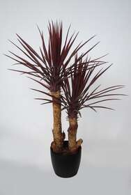 Yucca Set x 2 100 cm Burgundy