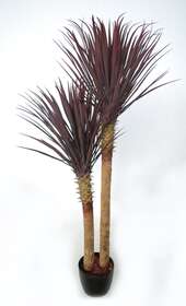 Yucca Set x 2 H 160 Cm Burgundy
