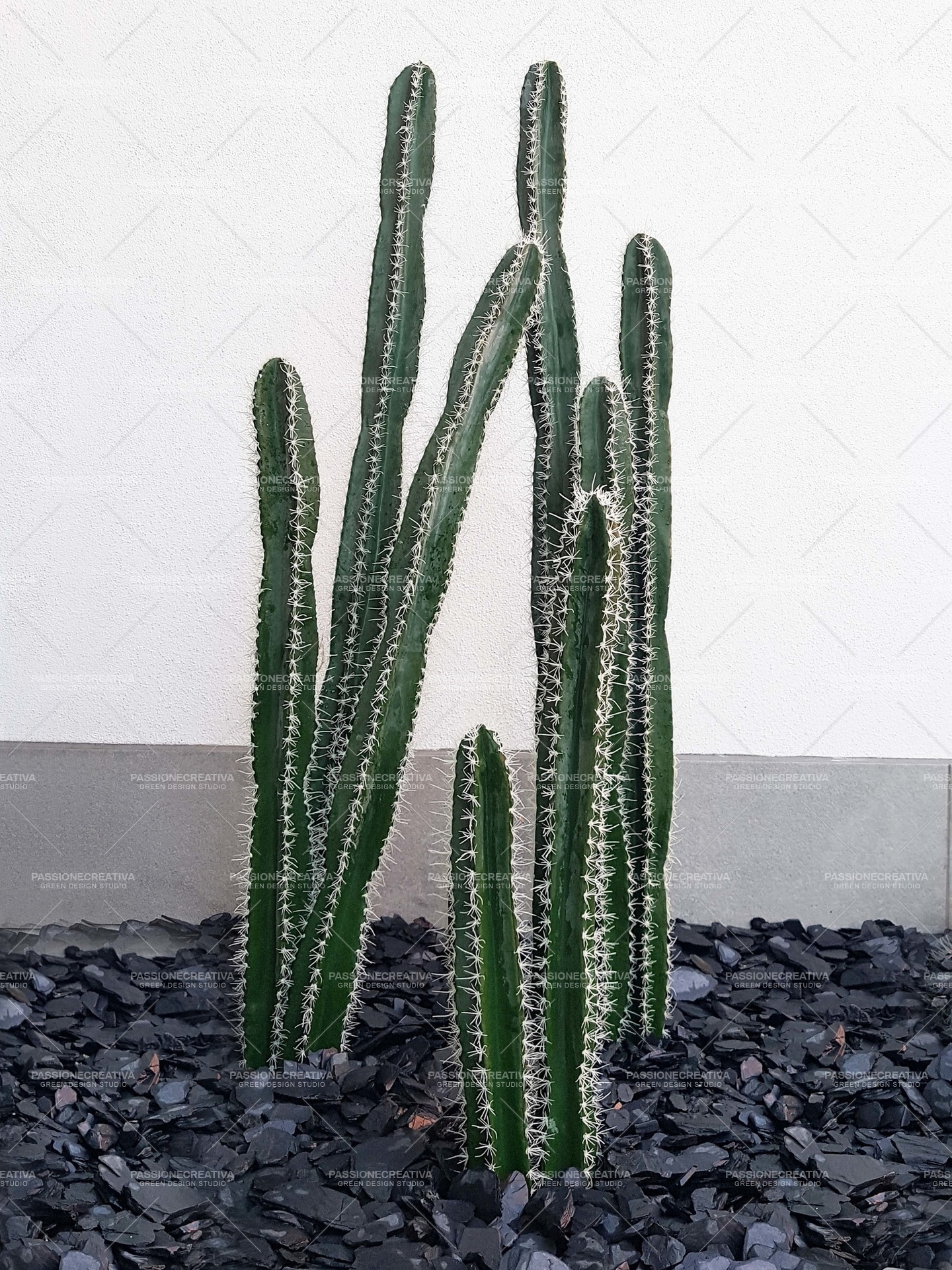 Cactus artificiale da esterno con vaso Colorado