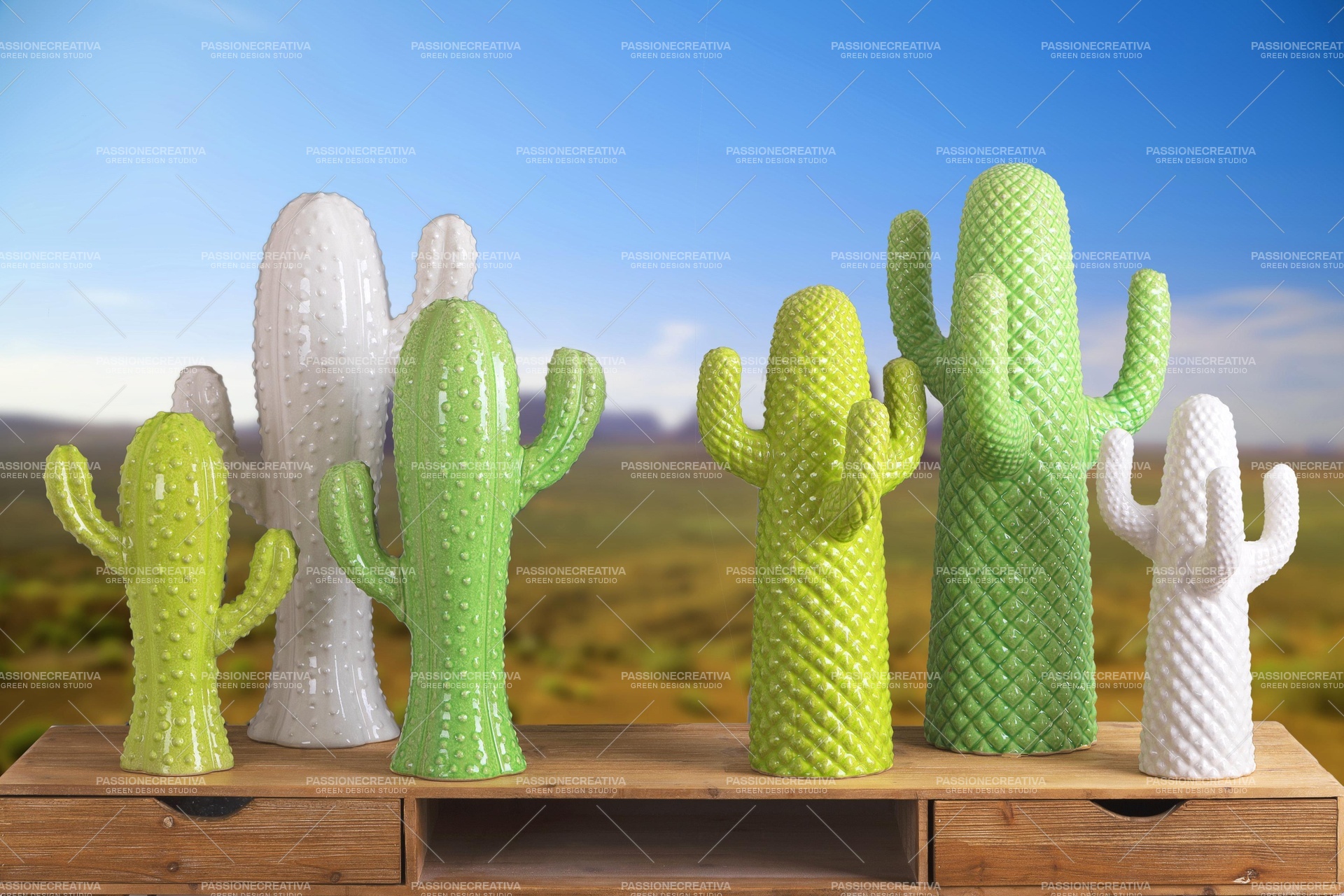 CACTUS IN CERAMICA, ARREDO