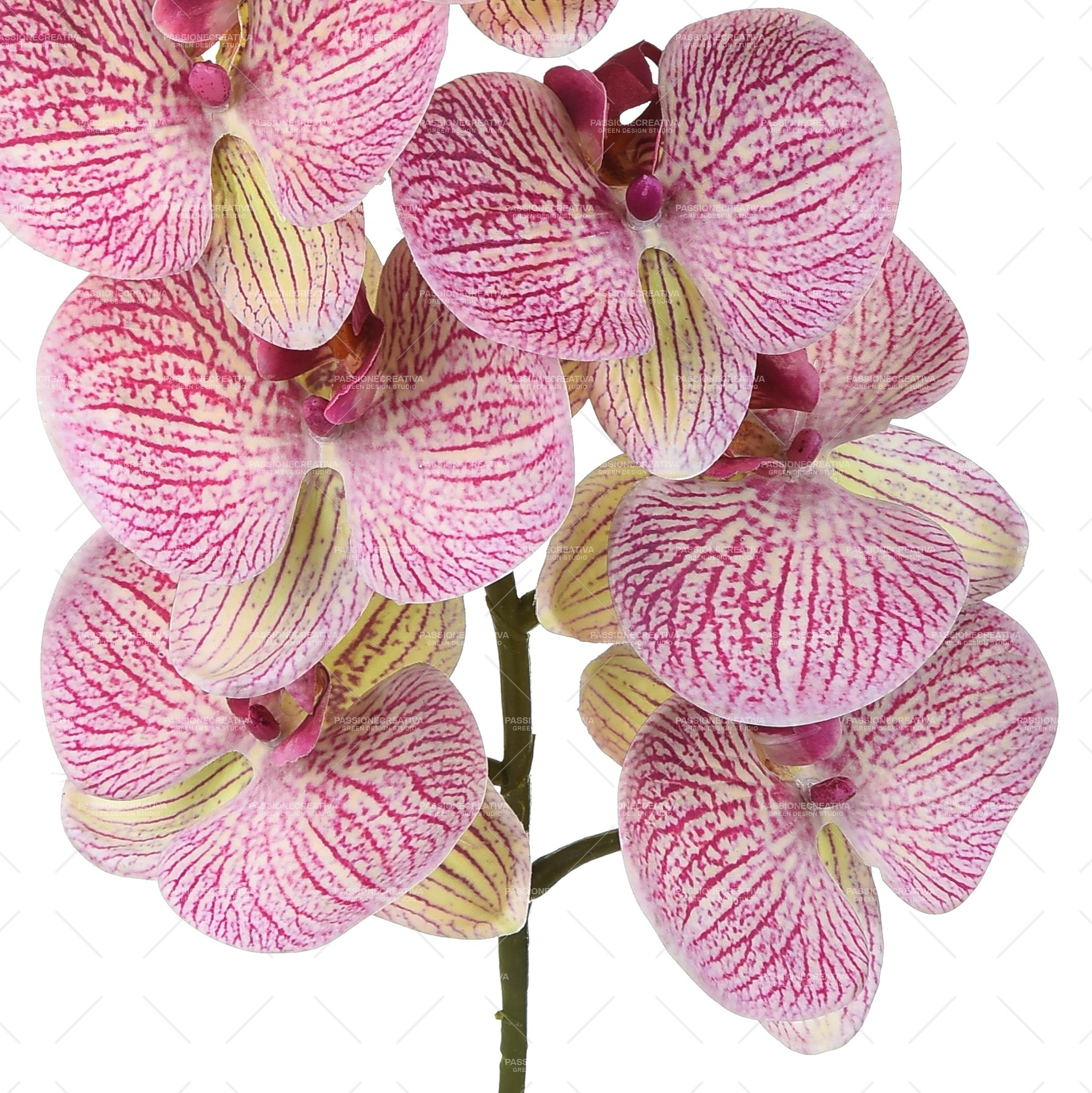 Phaleonopsis 9 fiori h 110 cm x 6 pz. - orchidea artificiale, DECORAZIONI
