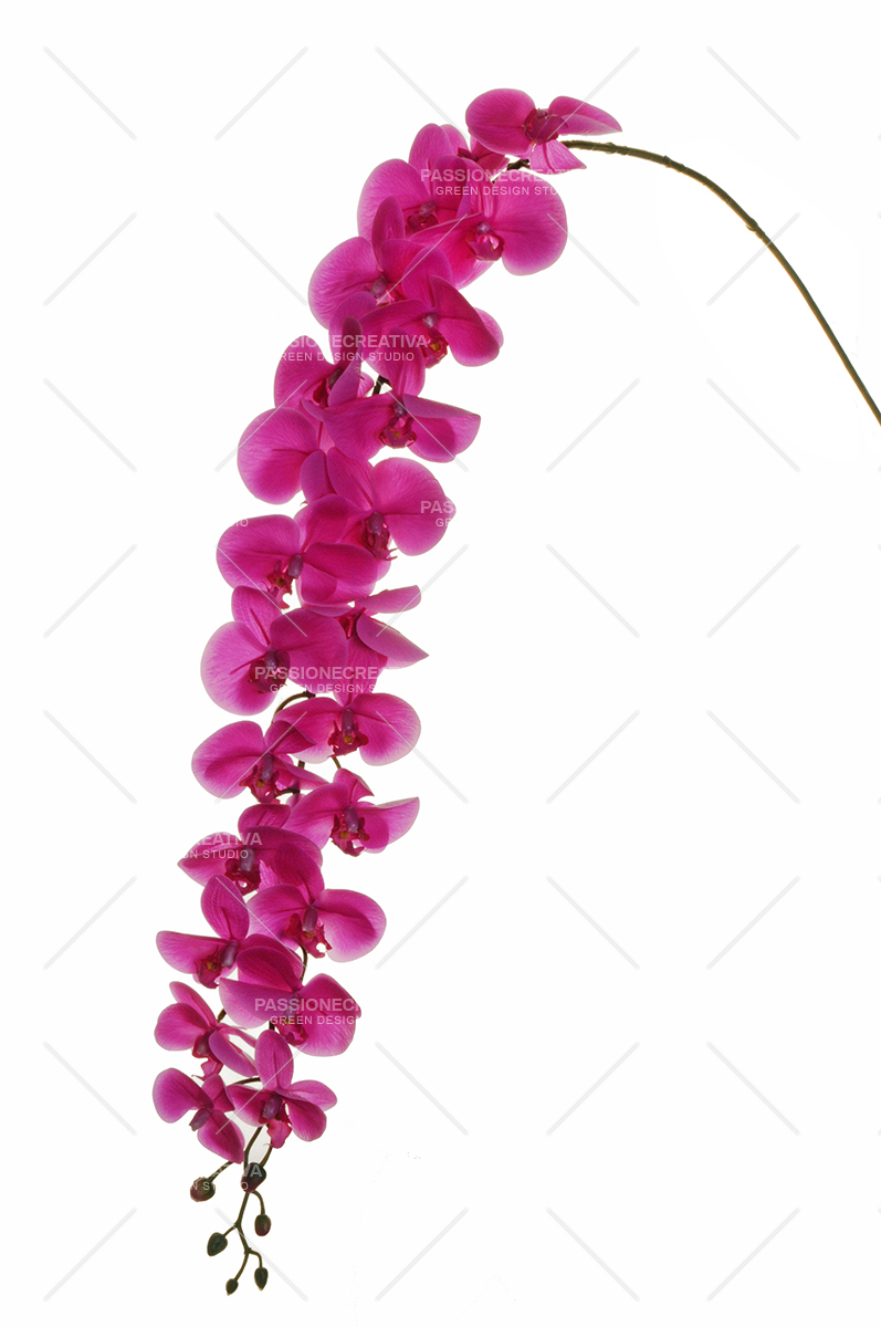 GIANT PHALAENOPSIS REAL TOUCH 23 Fiori, 6 boccioli H 149 CM. - fiore  artificiale, Orchidee artificiali, Fiori artificiali, DECORAZIONI