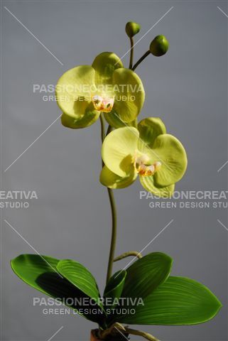 1 Mazzo Phalaenopsis Orchidea Artificiale Per Composizioni Colore A Scelta  42cm Fiori Piante