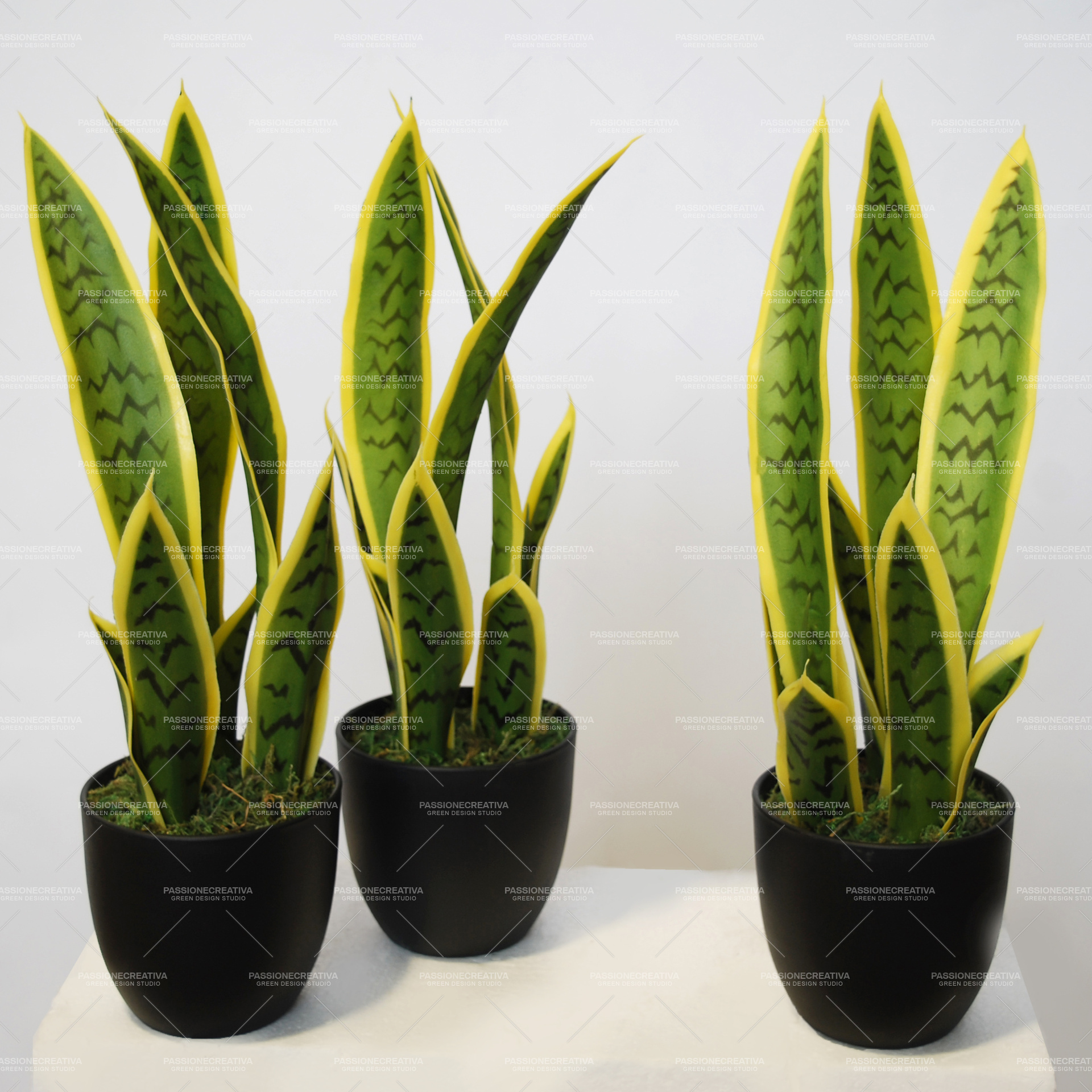 SANSEVERIA TRIFASCIATA da 40 cm VERDE GIALLO - PIANTA ARTIFICIALE, PIANTE  ARTIFICIALI