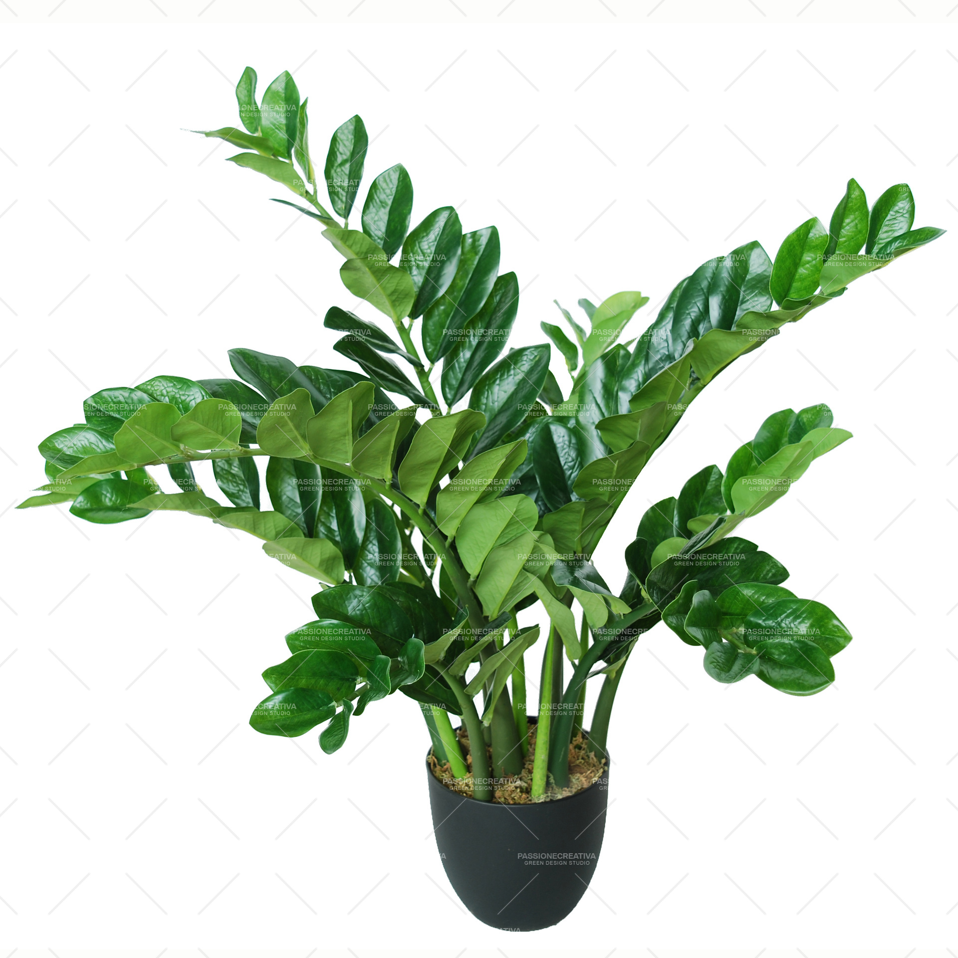 ZAMIIFOLIA ROBUSTA VERDE 90 cm - PIANTA ARTIFICIALE