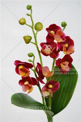 Phalaenopsis Mini Felicity Plant h 25 x 24 pz. - orchidea artificiale, Orchidee artificiali, Fiori artificiali