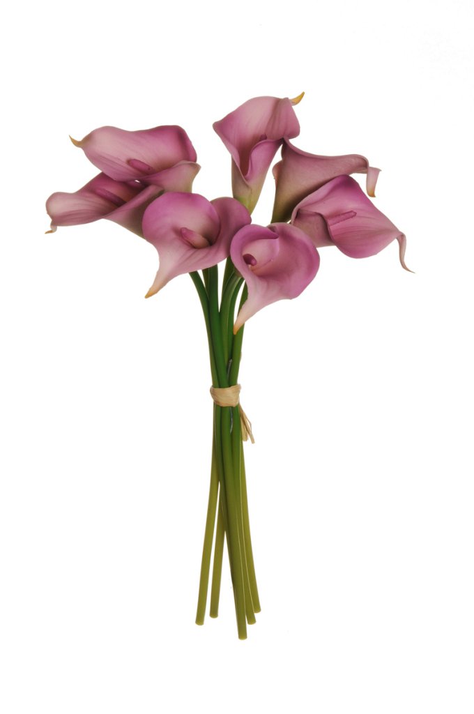 SMALL CALLA LILY BUNDLE LILLA